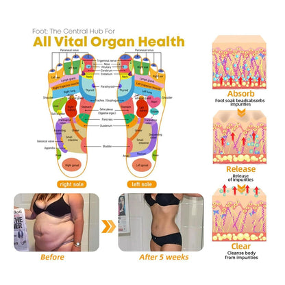 Bee Venom Lymphatic Drainage & Sliming Patches (10 Patches)