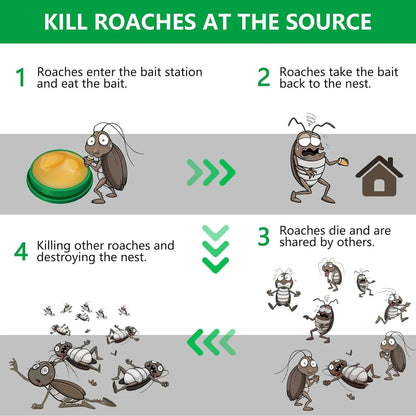 RoachShield Natural Gel – Safe & Powerful Cockroach Killer for Kitchens, Bathrooms & Cabinets